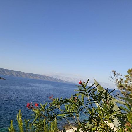 Apartamento Mala Basina -Maslina Vrbanj Exterior foto