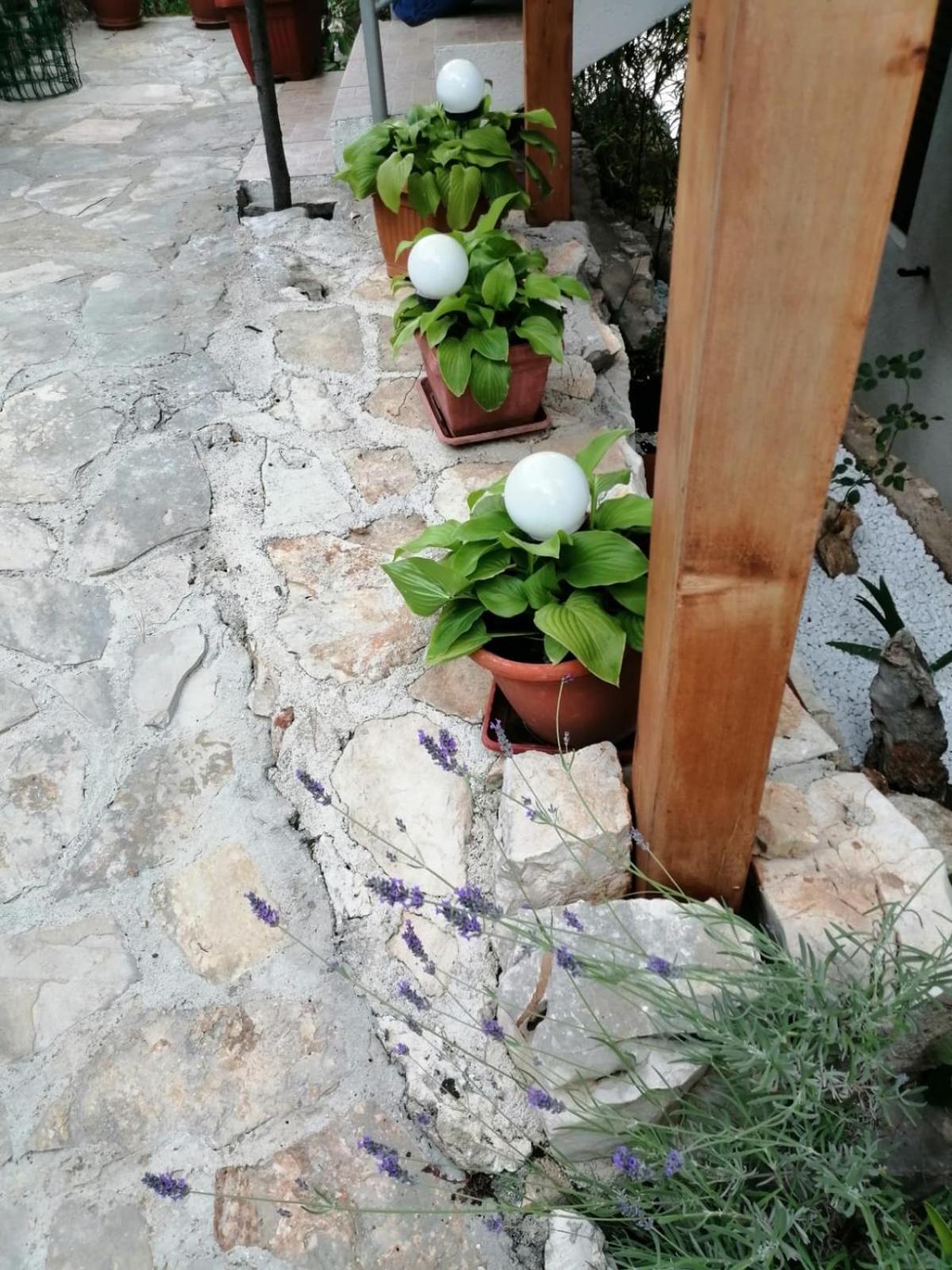 Apartamento Mala Basina -Maslina Vrbanj Exterior foto