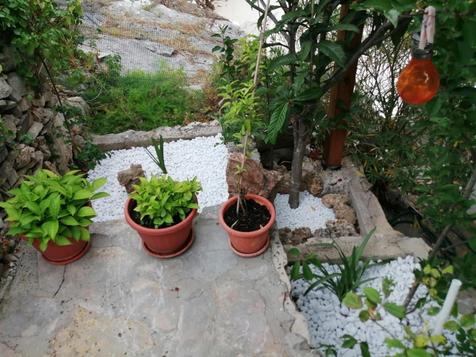 Apartamento Mala Basina -Maslina Vrbanj Exterior foto