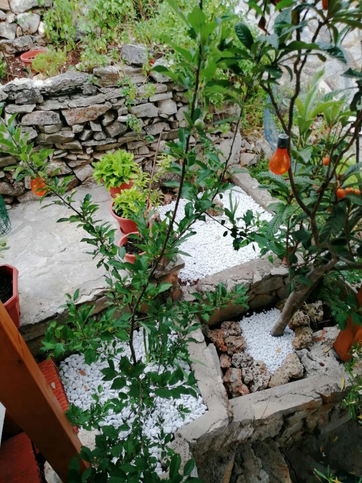 Apartamento Mala Basina -Maslina Vrbanj Exterior foto