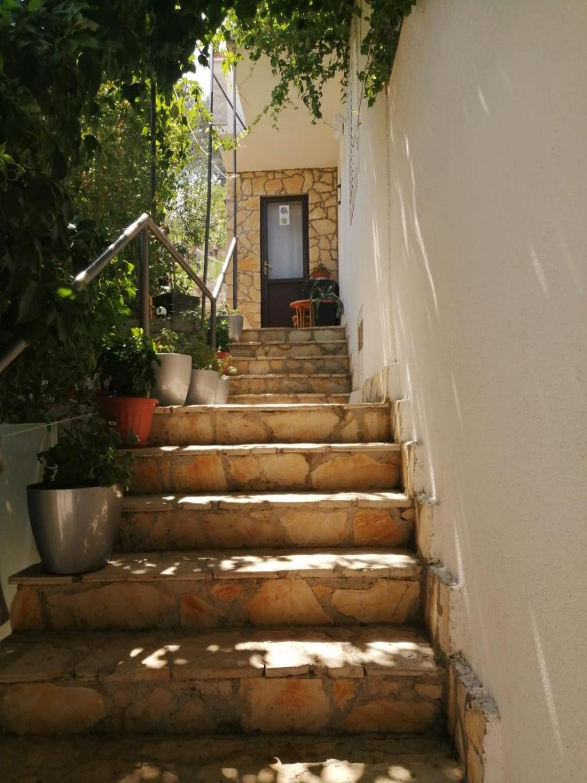 Apartamento Mala Basina -Maslina Vrbanj Exterior foto